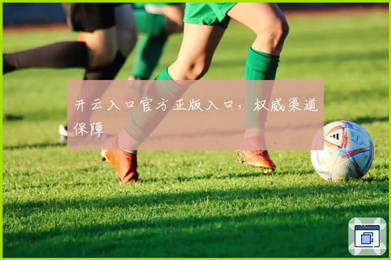 开云入口官方正版入口，权威渠道保障