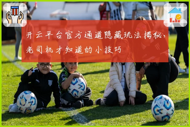 开云平台官方通道隐藏玩法揭秘，老司机才知道的小技巧