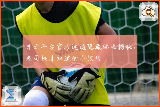 开云平台官方通道隐藏玩法揭秘，老司机才知道的小技巧