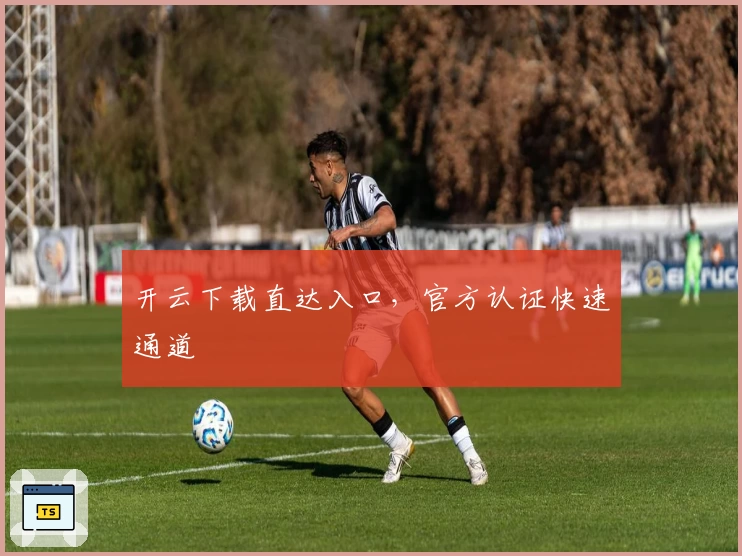 开云下载直达入口，官方认证快速通道