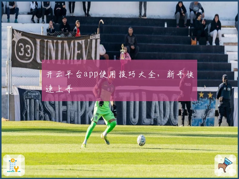 开云平台app使用技巧大全，新手快速上手